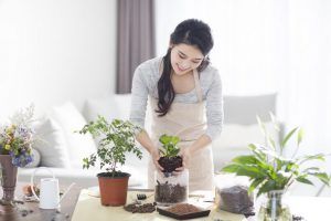 ۷ گیاه آپارتمانی با خواص دارویی را بشناسید