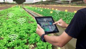 شش فناوری که به کشاورزان کمک می کند تا تکنیک های خود را بهینه کنند