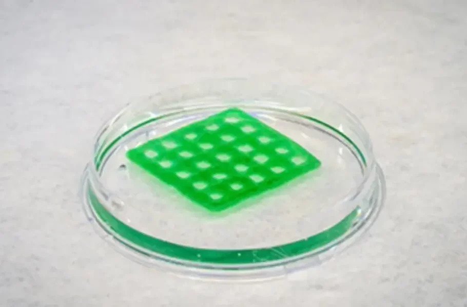 مواد بیولوژیکی تولیدشده توسط پرینتر سه‌بعدی می‌توانند آب را تصفیه کنند